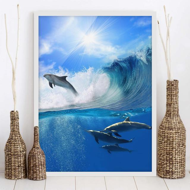 Picture With Frame - Playing Dolphins - Portrait 4:3 Highland Dunes Frame Option: White Framed, Size: 70cm H x 50cm W x 2cm D on Productcaster.