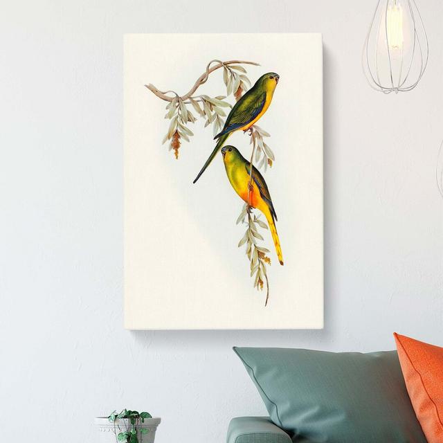 Orange-Bellied Grass-Parakeets by Elizabeth Gould - Wrapped Canvas Painting Print East Urban Home Size: 50cm H x 35cm W x 3cm D on Productcaster.