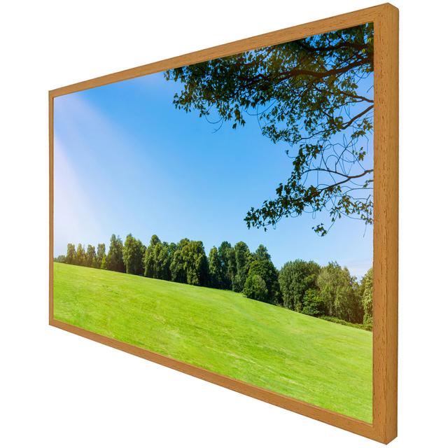 Urbain Beauty Landscape of Grass Field with Forest Trees and Environment Public Park with Sun Rays - Single Picture Frame Art Prints Latitude Run Size on Productcaster.