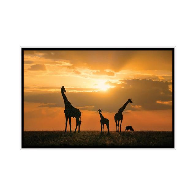 Golden Africa by John Fan - Floater Frame Print on Canvas Ebern Designs Format: White, Size: 45.72cm H x 66.04cm W x 3.81cm D on Productcaster.