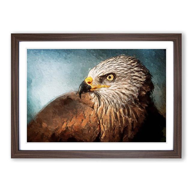 Portrait of a Red Kite Bird - Picture Frame Painting Print on MDF East Urban Home Size: 27cm H x 36cm W x 2cm D, Frame Option: Walnut Framed on Productcaster.