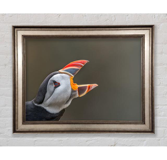 Puffin Sounding The Alarm Framed Print Bright Star Size: 29.7cm H x 42cm W on Productcaster.