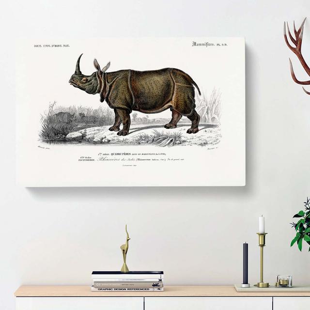 Indian Rhinoceros by Charles D' Orbigny - Wrapped Canvas Painting East Urban Home Size: 40cm H x 60cm W x 3cm D on Productcaster.