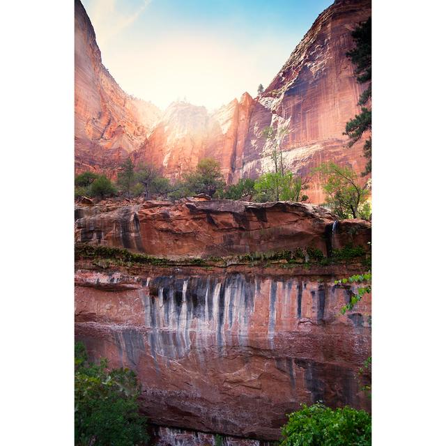 Zion National Park Felsen von Stellalevi - Druck Alpen Home Größe: 75 cm H x 50 cm B on Productcaster.