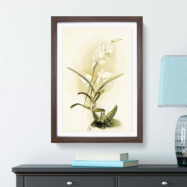 Magnolia Flowers Illustration Tab. 87 by Frederick Sander - Picture Frame Painting Print East Urban Home Frame Option: Walnut, Size: 91cm H x 60cm W x on Productcaster.