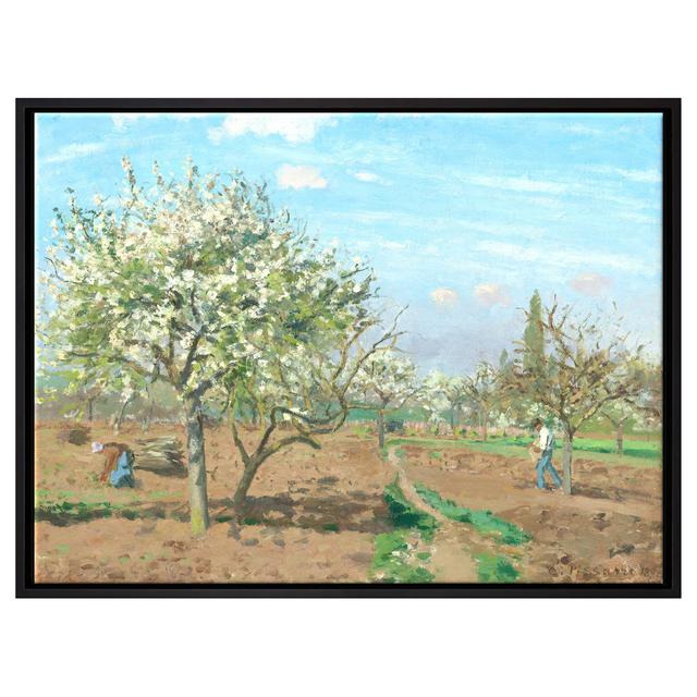 Gerahmter Kunstdruck Leinwandbild Obstgarten in Blüte Louveciennes von Camille Pissarro Rosalind Wheeler Maße: 65 cm H x 85 cm B x 2,5 cm T on Productcaster.