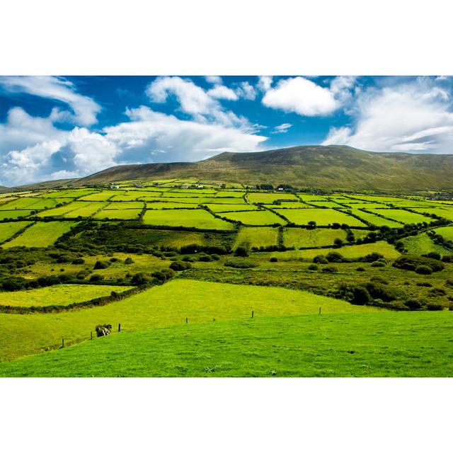 Pastures In Ireland - Wrapped Canvas Print Alpen Home Size: 20cm H x 30cm W on Productcaster.