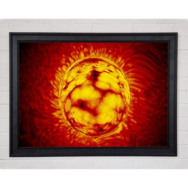 Sun Worshiper Framed Print Ivy Bronx Size: 42cm H x 59.7cm W x 1.5cm D on Productcaster.