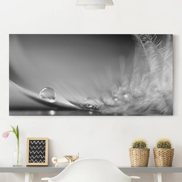 Story of a Waterdrop - Wrapped Canvas Graphic Art Print East Urban Home Size: 60cm H x 120cm W x 2cm D on Productcaster.