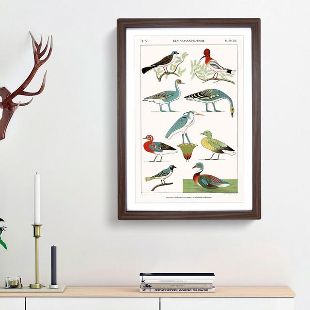 Birds & Ducks by J.F. Champollion - Picture Frame Painting Print East Urban Home Size: 65cm H x 48cm W x 2cm D, Frame Option: Walnut Framed on Productcaster.