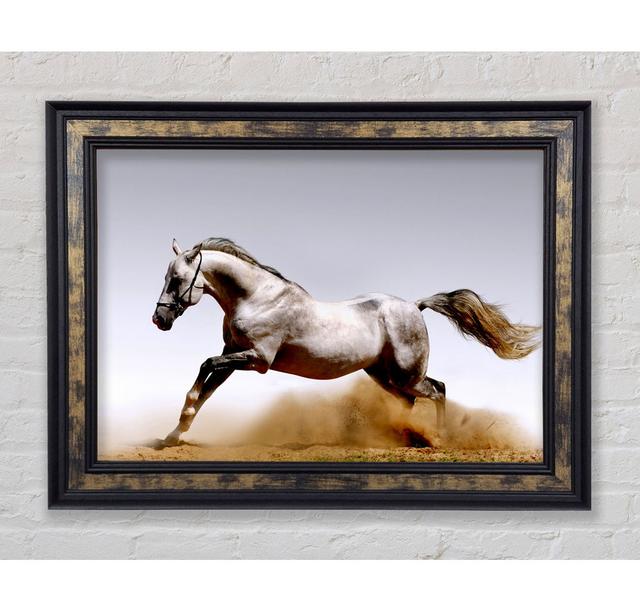 Wild Horse Running - Single Picture Frame Art Prints Bright Star Size: 42cm H x 59.7cm W on Productcaster.