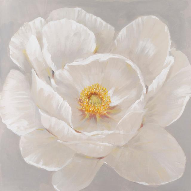 White Peony II by Timothy O' Toole - Wrapped Canvas Painting Marlow Home Co. Size: 122cm H x 122cm W on Productcaster.