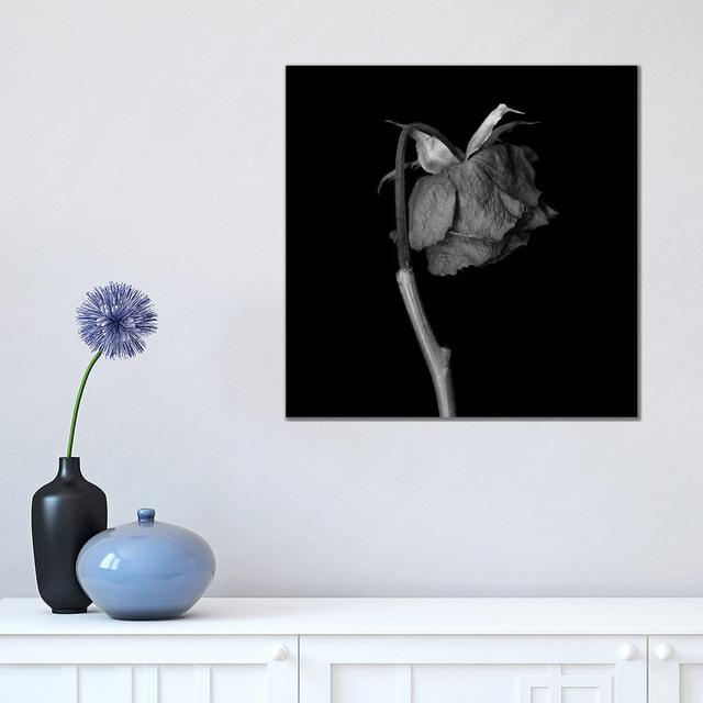 Rose Mix XXIV, B&W by Magda Indigo - Wrapped Canvas Gallery-Wrapped Canvas Giclée Latitude Run Size: 45.72cm H x 45.72cm W on Productcaster.