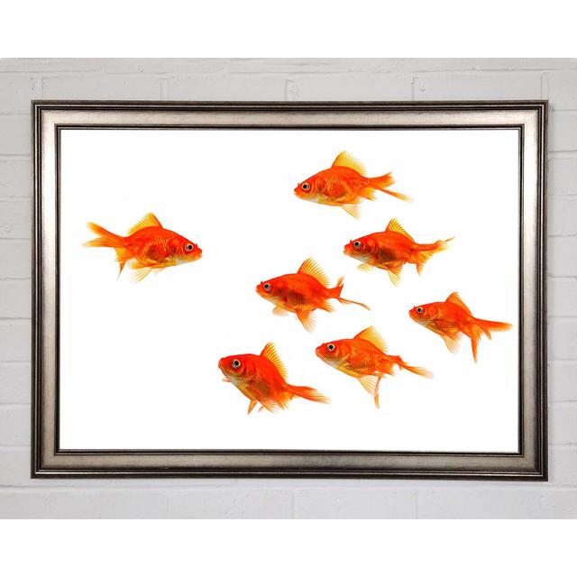 Goldfish Leader - Print Highland Dunes Size: 42cm H x 59.7cm W x 1.5cm D on Productcaster.