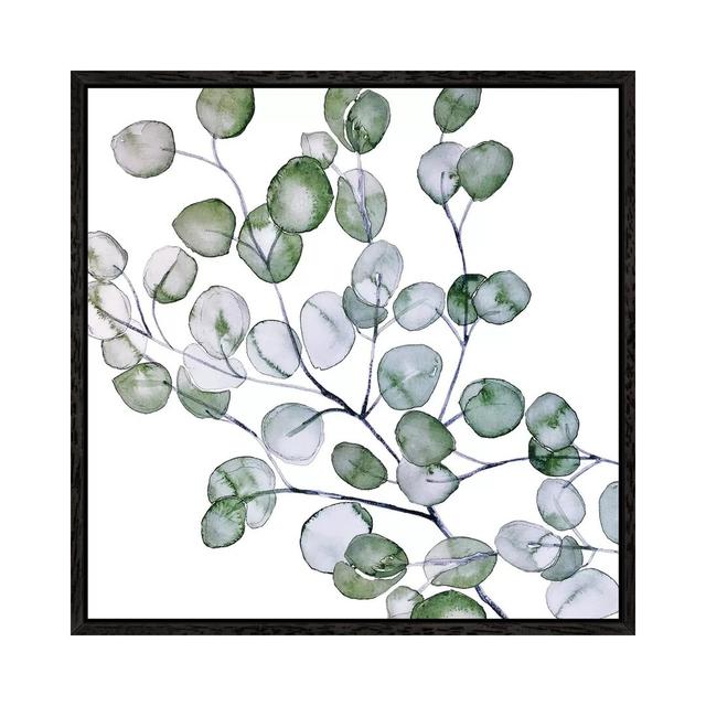 Eucalyptus Watercolour Square by Monika Strigel - Painting on Canvas Brambly Cottage Format: Black Framed, Size: 45.72cm H x 45.72cm W x 3.81cm D on Productcaster.