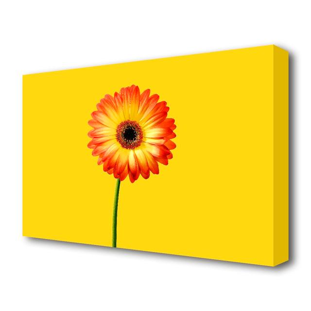 Orange Gerbera On Yellow Flowers Canvas Print Wall Art East Urban Home Size: 81.2 cm H x 121.9 cm W on Productcaster.