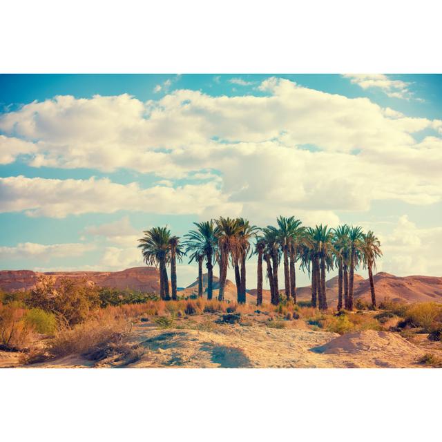 Oasis in a Desert - Wrapped Canvas Photograph Bay Isle Home Size: 51cm H x 76cm W on Productcaster.