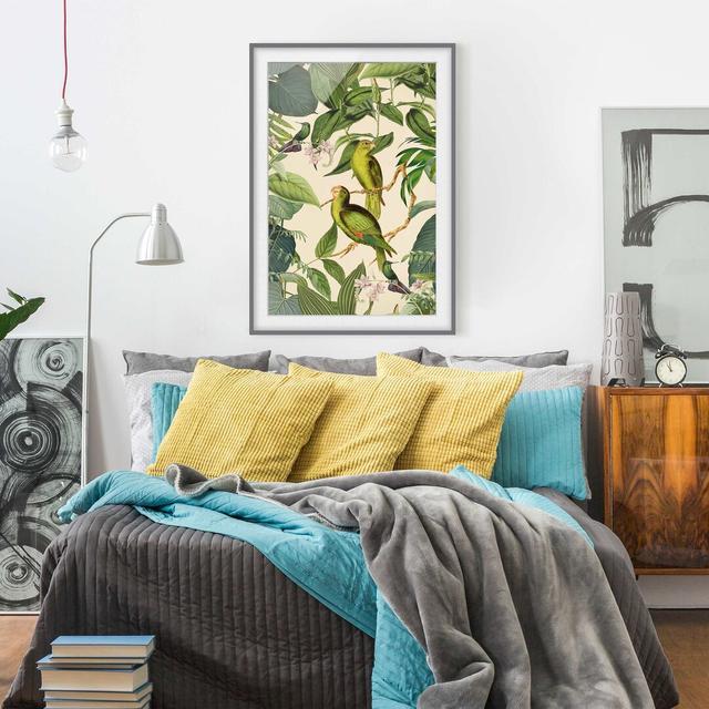 Vintage Collage - Parrots in the Jungle - Picture Frame Graphic Art Bay Isle Home Frame Option: Grey Framed, Size: 40cm H x 30cm W x 2cm D on Productcaster.