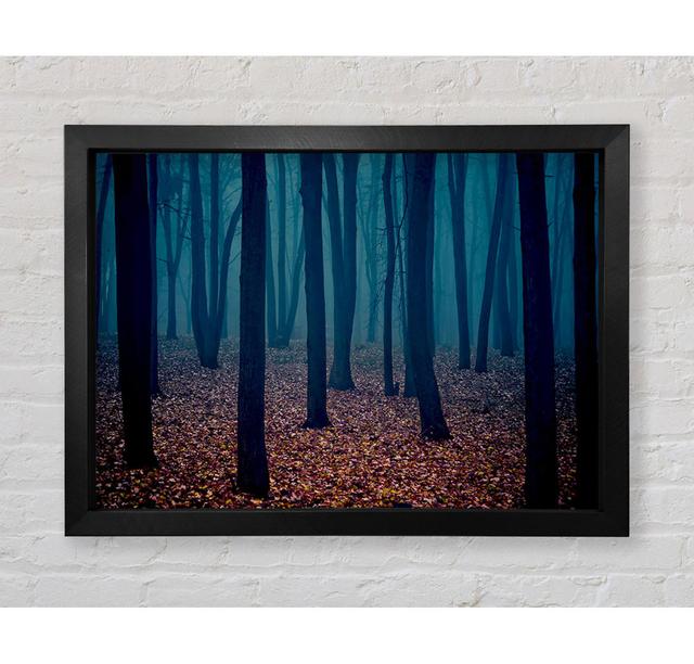 Dark Forest Mist - Print Union Rustic Size: 84.1cm H x 118.9cm W x 3.4cm D on Productcaster.