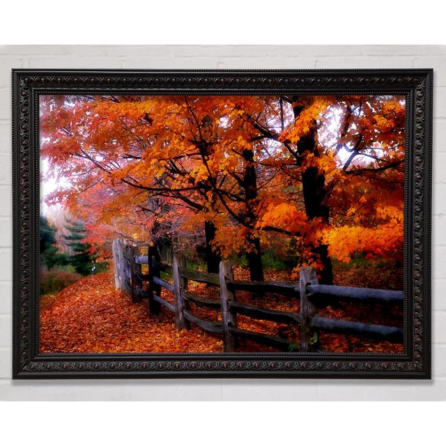 Orange Autumn Leaves Framed Print Bright Star Size: 29.7cm H x 42cm W on Productcaster.