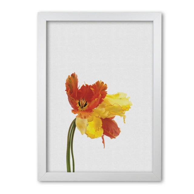 Tulip Still Life - No Frame Print East Urban Home Size: 42 cm H x 30 cm W x 5 cm D, Format: White Grain Frame on Productcaster.