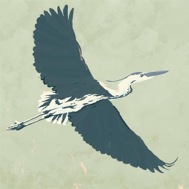 Heron Flying I by Jacob Green - Wrapped Canvas Painting Highland Dunes Size: 91cm H x 91cm W on Productcaster.