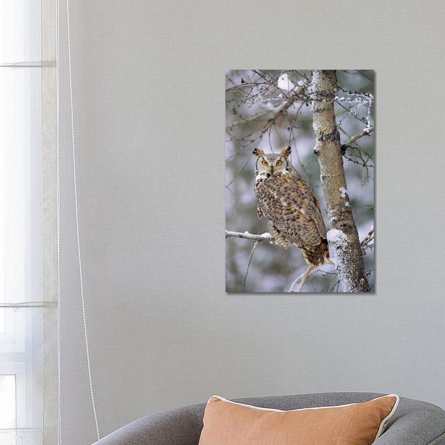 Great Horned Owl, Pale Form, Perching In A Snow-Covered Tree, British Columbia, Canada by Tim Fitzharris - Wrapped Canvas Print Alpen Home Size: 66.04 on Productcaster.