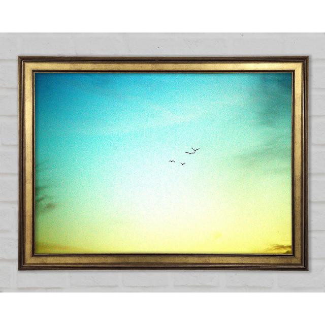 Family Of Birds - Single Picture Frame Art Prints Brayden Studio Size: 42cm H x 59.7cm W x 1.5cm D on Productcaster.