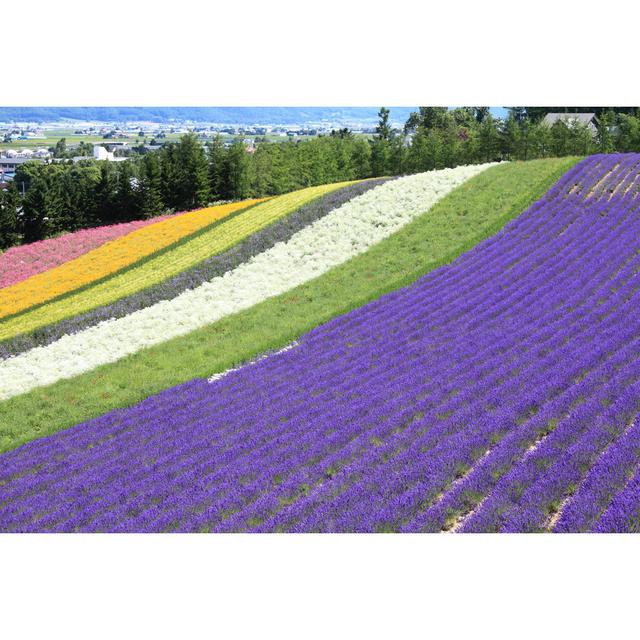 Fulshear Hokkaido by Sudalim - Wrapped Canvas Photograph Latitude Run Size: 61cm H x 91cm W x 3.8cm D on Productcaster.