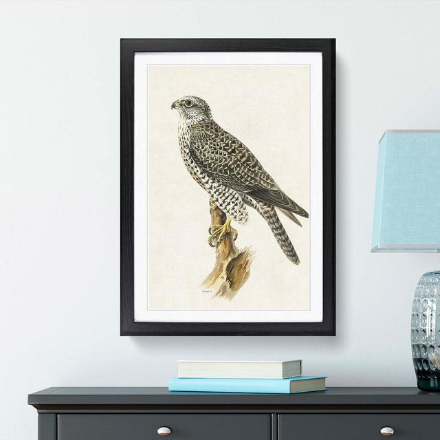 Gyrfalcon by Von Wright - Picture Frame Painting Print East Urban Home Size: 36cm H x 27cm W x 2cm D, Frame Option: Black Framed on Productcaster.