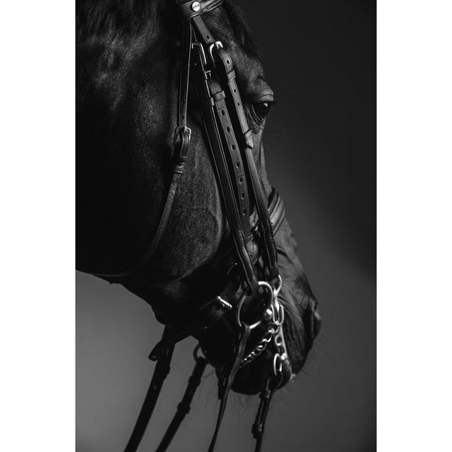 Esben Horse Wearing Saddle by Lenina11only - Wrapped Canvas Photograph 17 Stories Size: 122cm H x 81cm W x 3.8cm D on Productcaster.