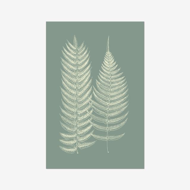 Ferns on Sage IX by Vision Studio - Wrapped Canvas Painting Beachcrest Home Size: 122cm H x 81cm W, Format: Wrapped Canvas on Productcaster.