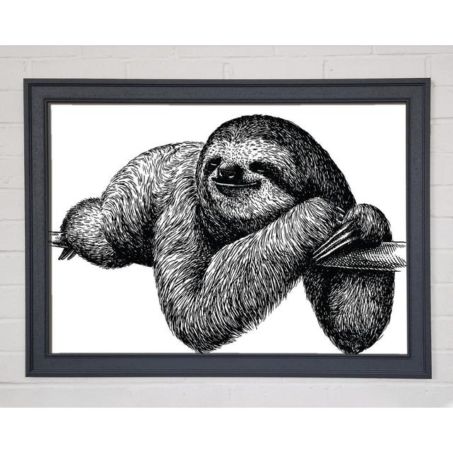 Sloth Chilling on the Branch - Single Picture Frame Art Prints Bloomsbury Market Size: 59.7cm H x 84.1cm W on Productcaster.