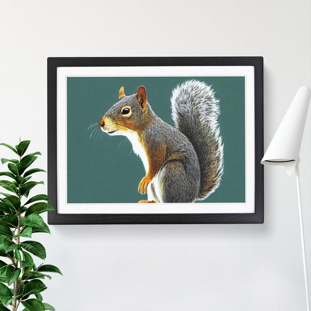 A Tantalising Squirrel - Single Picture Frame Print Alpen Home Size: 34cm H x 46cm W x 2cm D, Frame Option: Black on Productcaster.