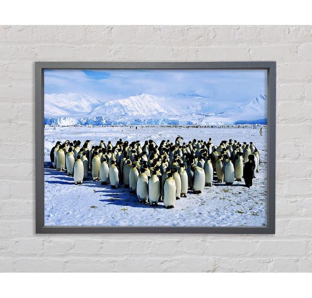 Penguin Cuddle Framed Print Latitude Run Size: 59.7cm H x 84.1cm W x 3.3cm D, Format: Dark Grey Framed Canvas on Productcaster.