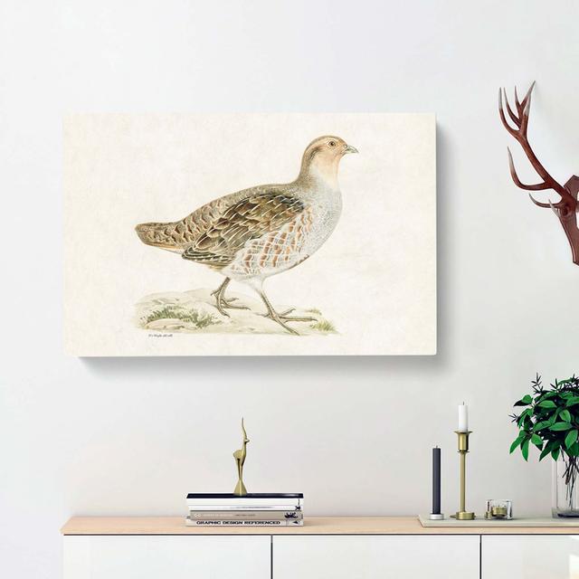 Grey Partridge by Von Wright - Wrapped Canvas Painting Print East Urban Home Size: 35cm H x 50cm W x 3cm D on Productcaster.