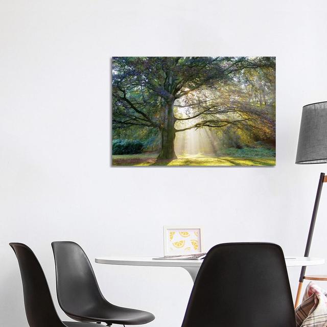 The Natural Queen by Lars Van De Goor - Wrapped Canvas Gallery-Wrapped Canvas Giclée Alpen Home Size: 66.04cm H x 101.6cm W x 1.9cm D on Productcaster.