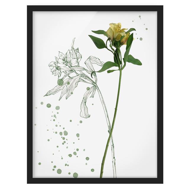 Botanical Watercolour - Lily - Picture Frame Painting Rosalind Wheeler Frame Option: Black Framed, Size: 100cm H x 70cm W x 2cm D on Productcaster.