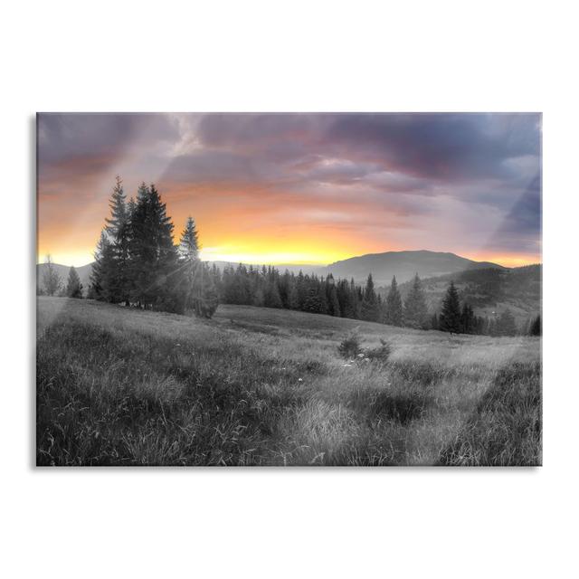 Meadow Landscape At Sunset, Black And White Detail - No Frame Print on Glass Union Rustic Size: 60cm H x 80cm W x 0.4cm D on Productcaster.