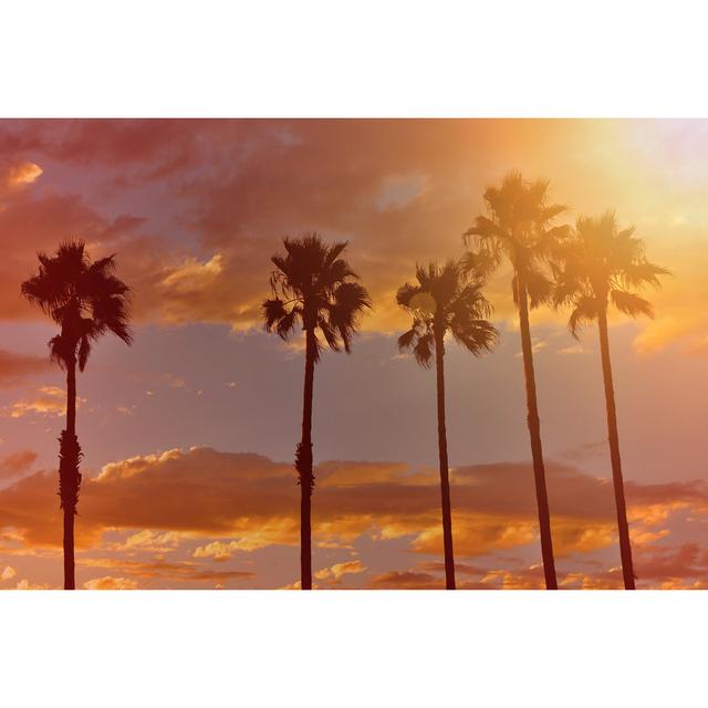 Sun Shining On Palm Trees by Csondy - No Frame Art Prints on Canvas 17 Stories Size: 81cm H x 122cm W on Productcaster.