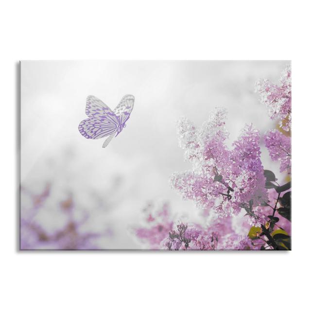 Butterfly Cherry Blossoms - No Frame Print on Glass August Grove Size: 60cm H x 80cm W x 0.4cm D on Productcaster.