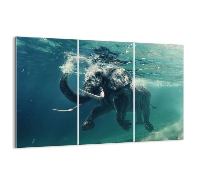 'Everyone Likes Swimming' - 3 Piece Unframed Photograph Print Set on Glass Bloomsbury Market Size: 70cm H x 105cm W x 1.8cm D on Productcaster.