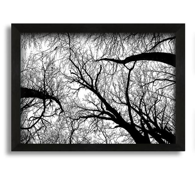 Pecan Grove Black and White - Picture Frame Graphic Art on Canvas Ebern Designs Size: 42cm H x 60cm W x 10cm D on Productcaster.