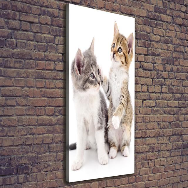 Two Small Cats - Wrapped Canvas Art Prints Brayden Studio on Productcaster.