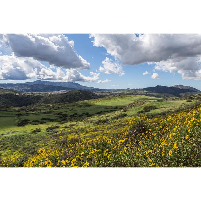 Thousand Oaks California by Trekandshoot - Wrapped Canvas Photograph Alpen Home Size: 81cm H x 122cm W on Productcaster.