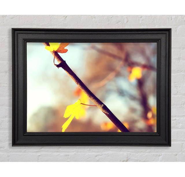 Autumn 2 - Single Picture Frame Art Prints Brayden Studio Size: 29.7cm H x 42cm W x 8cm D on Productcaster.