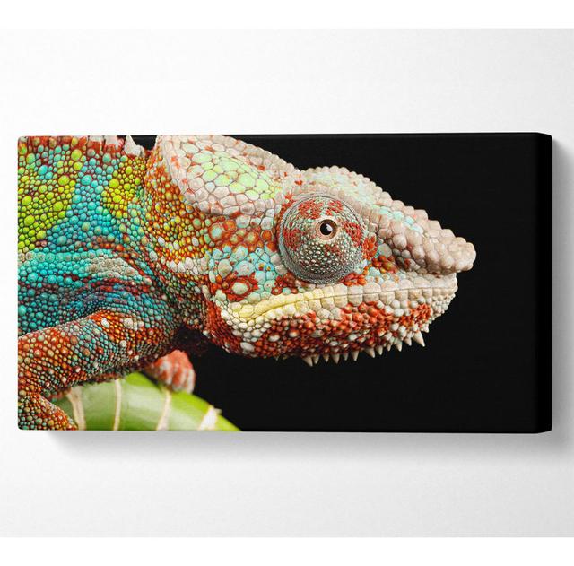 Rocklake Chameleon Face - Wrapped Canvas Art Prints Ophelia & Co. Size: 101.6cm H x 203.2cm W x 1cm D on Productcaster.