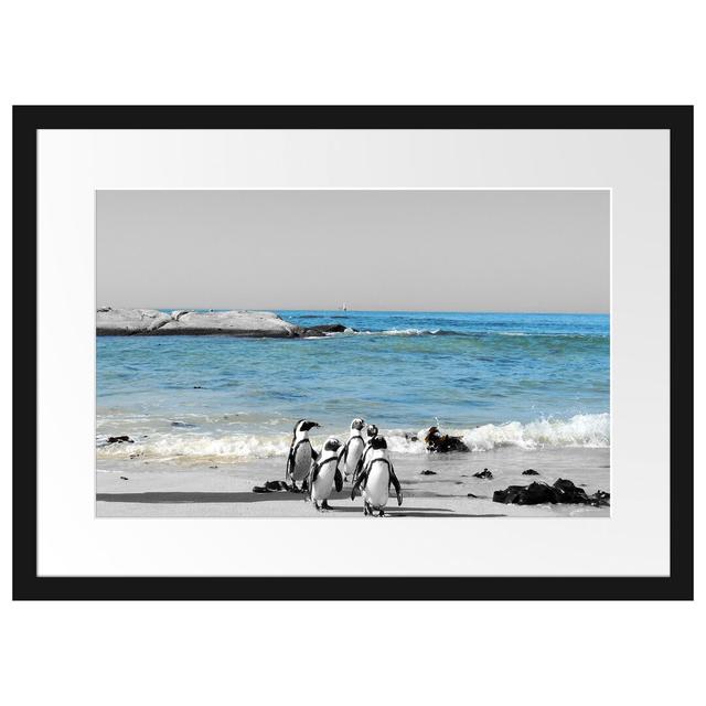 Gerahmtes Poster Lustige Pinguine am Strand East Urban Home Größe: 40 cm H x 55 cm B on Productcaster.