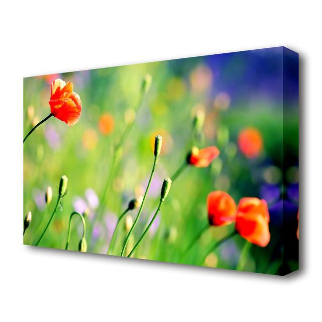 Poppy Meadow Flowers Canvas Print Wall Art East Urban Home Size: 101.6 cm H x 142.2 cm W on Productcaster.