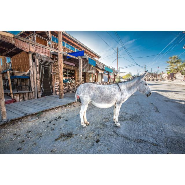 Donkey at Oatman 683475540 Brambly Cottage Size: 61cm H x 91cm W on Productcaster.